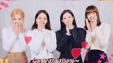 终于来了，看到新鲜的BLACKPINK,独家新年问候来袭