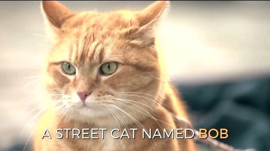 Ending scene of the movie A Street Cat Called Bob