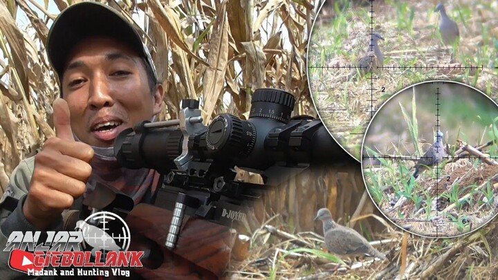 Masih bersama hunter kamulyan//jagung kerink