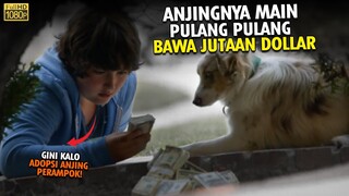 ANJINGNYA MAIN PULANG - PULANG BAWA JUTAAN DOLLAR !!