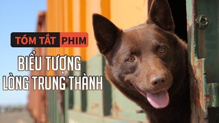 Tóm Tắt Phim: Biểu Tượng Về Sự Trung Thành Của Nước Úc | Quạc Review Phim|