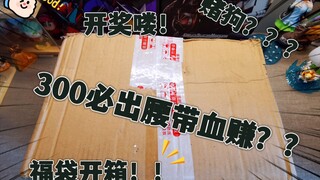 假面骑士300必出腰带福袋？？血赚？？？