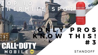 PROS SECRET DILDO SPOT - Standoff