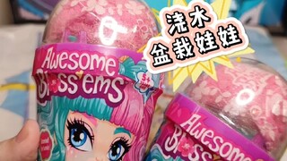 浇水浇出来个拇指姑娘？开花🌼小仙子awesome!【雪姬の浇水盆栽娃娃】