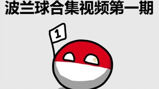 【波兰球】波兰球视频合集【第一期】