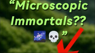 “Tardigrades: The Nearly Unkillable Micro-Bears”