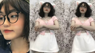 埃及猫猫摇