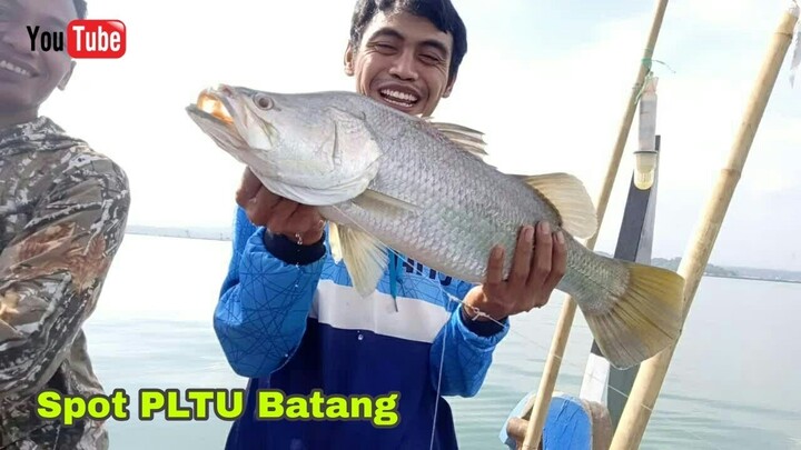 Mancing Ikan Kakap Di PLTU Batang Jawa Tengah