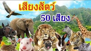 เสียงสัตว์ 50 เสียง พร้อมวีดีโอรูปภาพประกอบ และชื่อสัตว์ต่างๆ สำหรับเด็ก