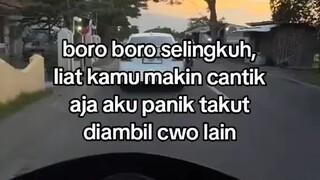 bngsat