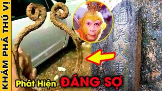 🔥 Phát Hiện 7 Bằng Chứng Chứng Minh Tôn Ngộ Không Có Thật Gây Chấn Động Cả Thế Giới | Sự Thật Là Gì?