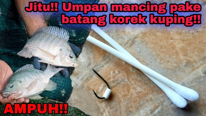 Trik mancing menggunakan umpan tipuan batang COTTON BUDS, Umpan  Ikan Nila Super