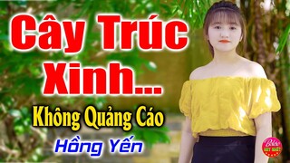 Cây Trúc Xinh - Nhạc Sống Quan Họ Bắc Ninh Hay Nhất 2023 - Dân Ca Quan Họ Hay Ơi Là Hay