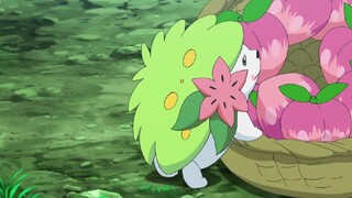 Pokemon: Sun and Moon Episode 121