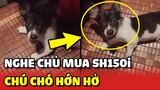 Vẻ mặt HỚN HỞ của chú chó khi nghe chủ bảo mua XE SH150i 😂 | Yêu Lu
