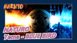 NATURO |Tema - BLUE BIRD Oleh PelleK & Raon Lee