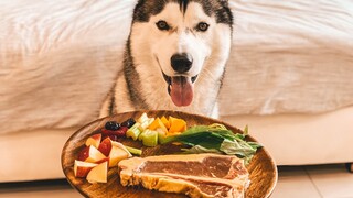 What Raw Feeding Our Dog For Breakfast Looks Like | ASMR Feast Friday Ep #8