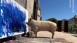 Brilliant Pig, Earn Money For Artwork