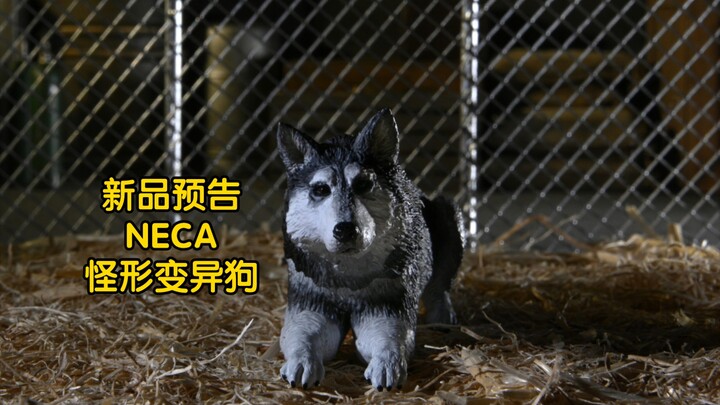 【新品预告】NECA 怪形变异狗