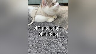 Cô chú múc múc áo dắt như Sáng thì ở Baiii ô nheng 🥰🥰 FreakySquad mèo