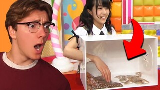 the WEIRDEST Japanese gameshows???