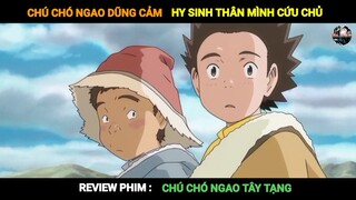 Review Phim: Chú Chó Ngao Tây Tạng | Chiến Binh Thảo Nguyên