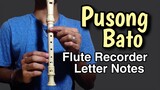 PUSONG BATO - Flute Recorder Easy Letter Notes / Flute Chords
