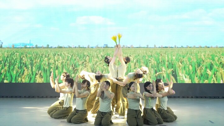 "Bloom like a flower" Beijing University Street Dance Competition DanceWill Good Dance Dance Runner-