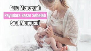 Payudara Besar Sebelah Saat Menyusui Apakah Bisa Kembali Normal