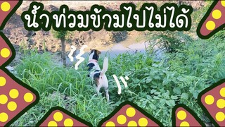 โลกของแสนดี ตอน น้ำท่วมทางเดิน ไปหาเพื่อนๆไม่ได้TT