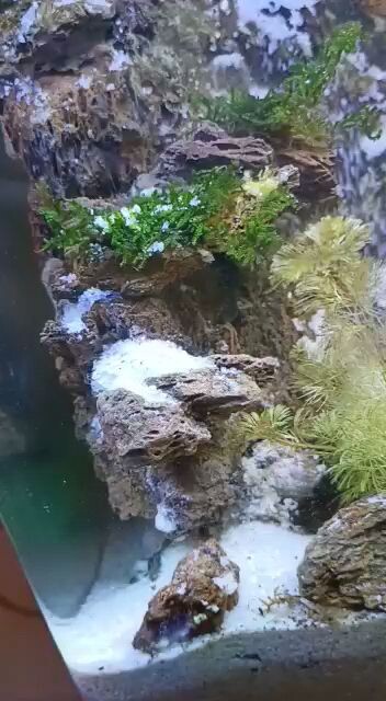 aquascape belajar air terjun