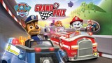 Today's Game - PAW Patrol Grand Prix Race in Barkingburg Gameplay