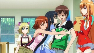 Anime Harem Dengan MC Yang Diperebutkan Banyak Wanita ‼️