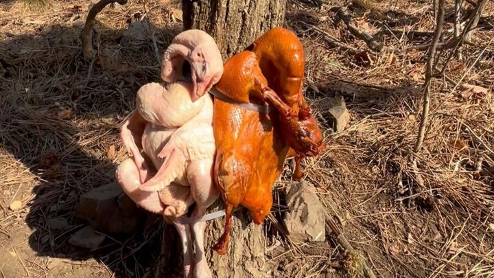 动物到底喜欢吃生肉还是熟肉