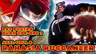 RAS BUATAN OPE-OPE ⁉️ ASAL USUL & RAHASIA RAS BUCCANEER KUMA ‼️ SHIROHIGE JUGA BUCCANEER