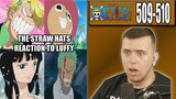 THE STRAW HATS HEAR ABOUT LUFFY! - One Piece Episode 509 and 510 - Rich Reaction