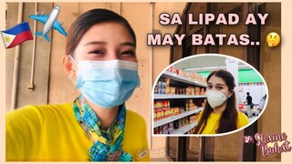 After Flight Rapid Diagnostic Test + Grocery Vlog | Flight Attendant Vlogs