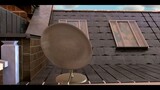THATCHING EGGS | SHORT ANIMATED FILM