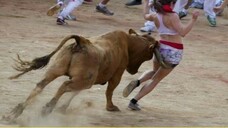 Best funny videos - Most awesome bullfighting festival - funny crazy bull fails