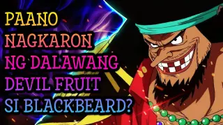 Paano Nagkaroon ng DALAWANG DEVIL FRUIT si BLACKBEARD?