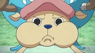 chopper waku waku