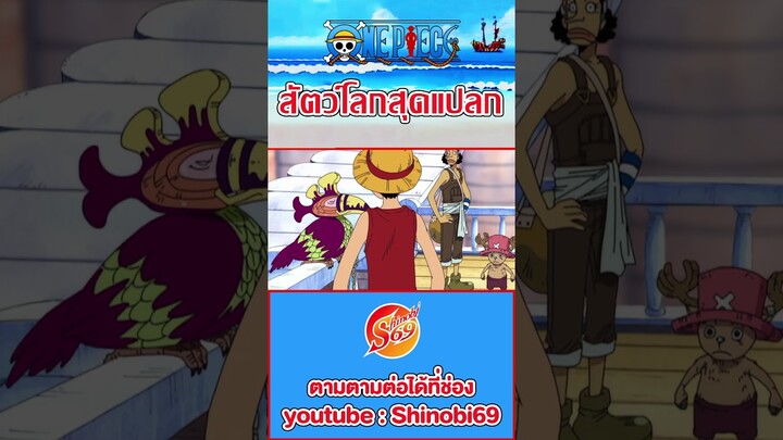 ONE PIECE : นกเซ้าท์เบิร์ด #สัตว์โลกสุดแปลก #วันพีช #ワンピース #luffy  #ผลปีศาจ #funny #นกเป็ดน้ำ