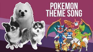 Pokemon Theme Song but it's Doggos and Gabe