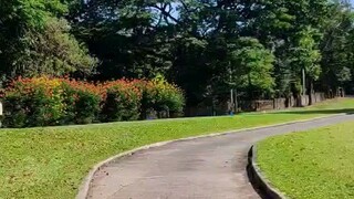 di na nagpakita mga ibon dito sa bahay