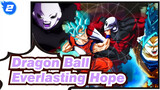 [Dragon Ball/AMV/MAD] Sevens Dragon Balls, Everlasting Hope_2