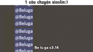 beluga ngủ quên #haihuoc