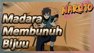 Madara Membunuh Bijuu