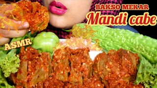 ASMR BAKSO BOGEM MEKAR MANDI CABE|| LALAPAN MENTAH|| PEDAS BANGET || PARE MENTAH |ASMR INDONESIA