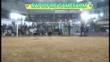 UBUSAN NG LAHI BOHOL RAPIDFIRE GF (win) VS KAIZEN GF