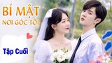 Bí Mật Nơi Góc Tối - Tập 24 [Tập Cuối] Đinh Tiễn làm đám cưới với Chu Tư Việt